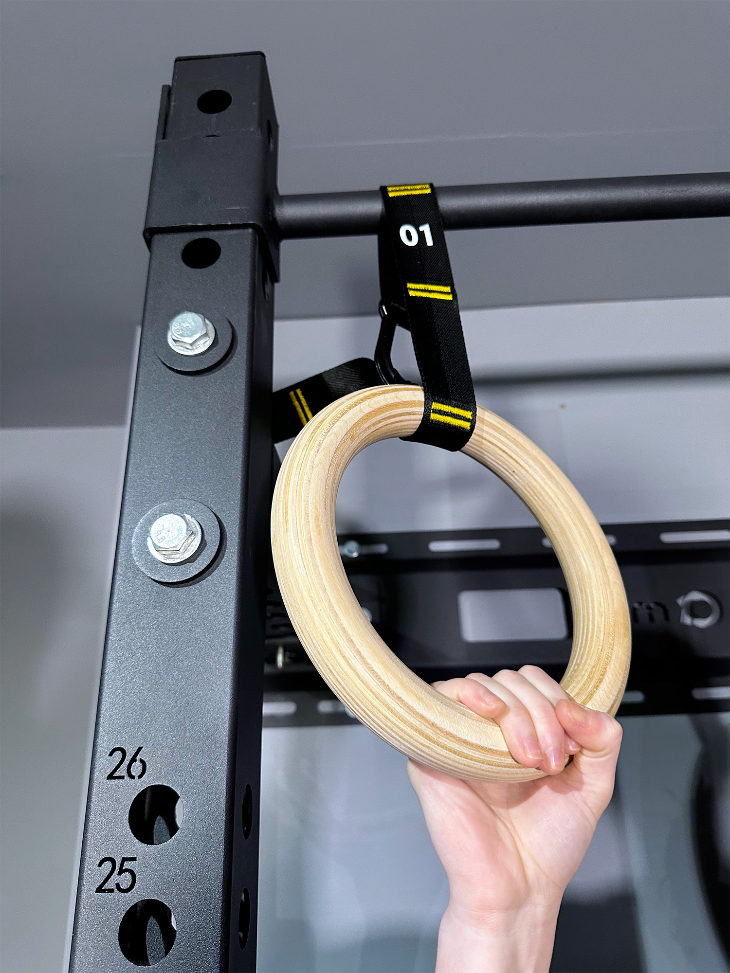 Gym Rings Fully Adjustable Heights Powerball